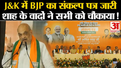 J&K Election: BJP released resolution letter