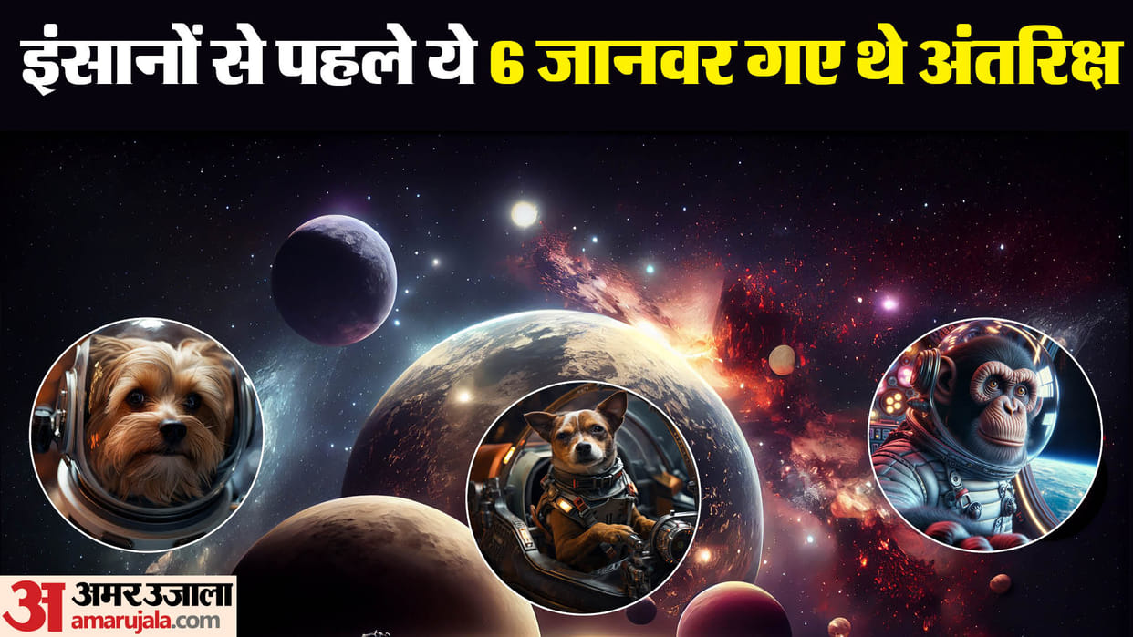 Animals In Space These 6 animals have gone to space before humans news in hindi