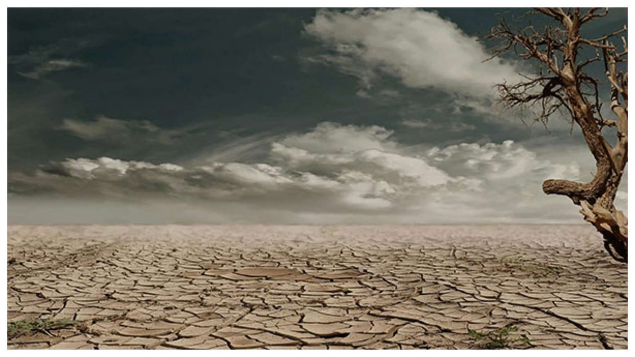 Global Commons Survey says 80 per cent Indians support criminalization of environmental damage