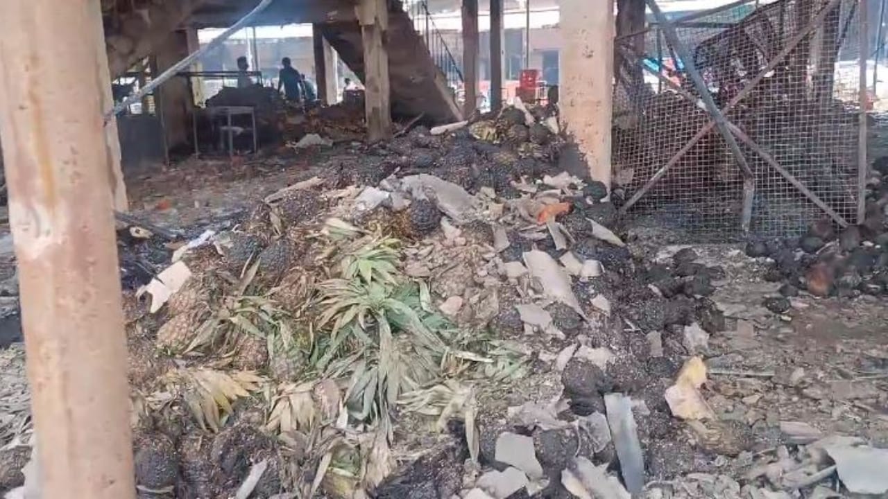 Fruits worth crores of rupees burnt to ashes in Delapeer Fruit Mandi due to fire in Bareilly