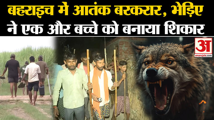 Bahraich Bhediya: Terror Continues In Bahraich, Wolf Kills Another ...