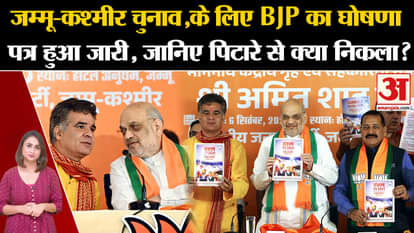 J&K Elections: BJP's manifesto released for Jammu and Kashmir elections, know what came out of the box?
