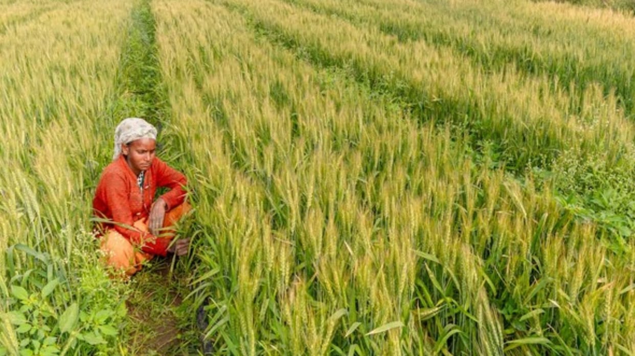 ICAR Nod to new subjects in Agricuture Education Graduation Course know more