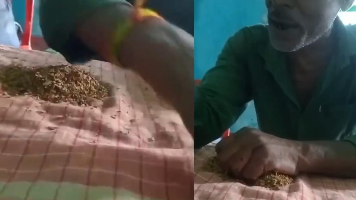 Bihar: Khagaria government school principal seen with Ganja and Khaini; Bihar News,