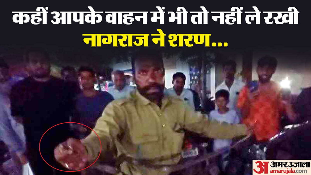Maihar News: Forest department personnel rescued a five feet long snake hidden in a bike