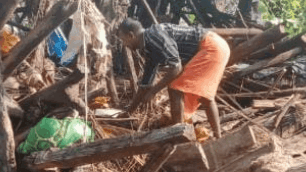 elephant chased a woman and killed two cattle In Korba
