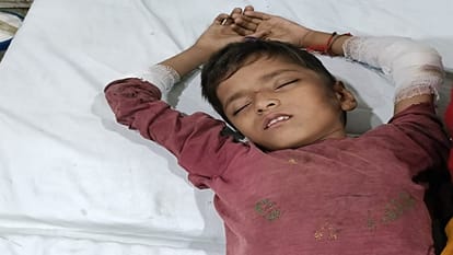 Leopard attacked eight year old child in ramnagar