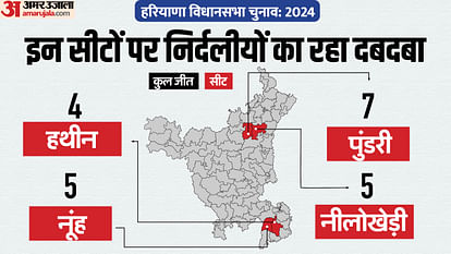 Haryana Assembly election seats where independents dominated news in hindi