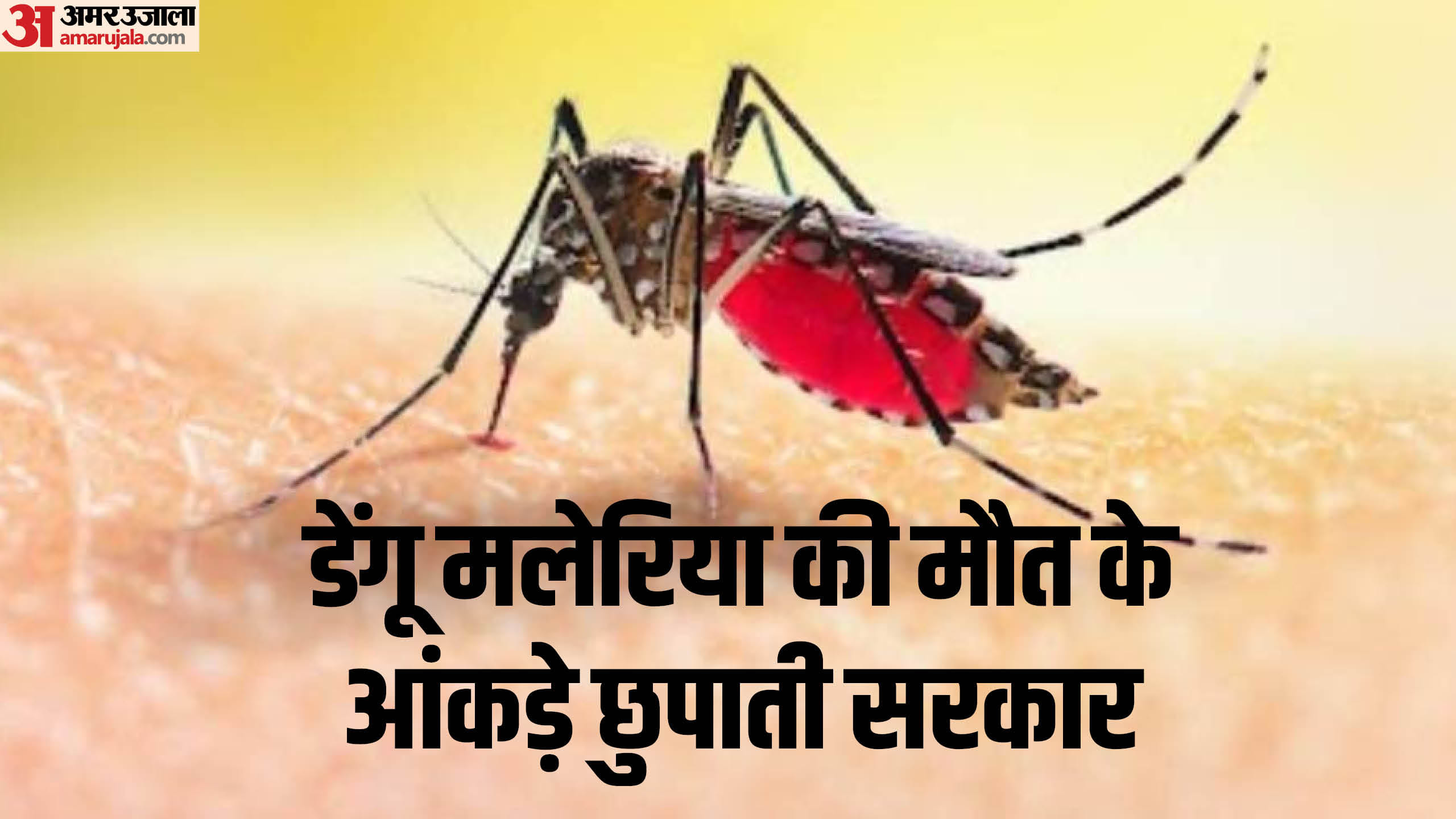 dengue malaria symptoms treatment government policy death test