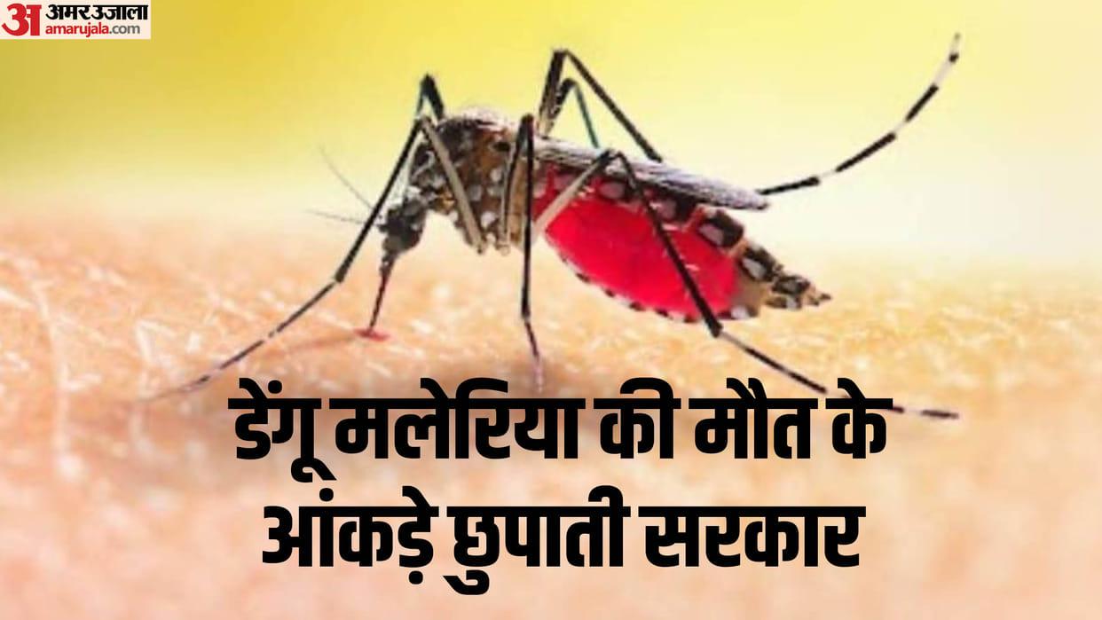 dengue malaria symptoms treatment government policy death test