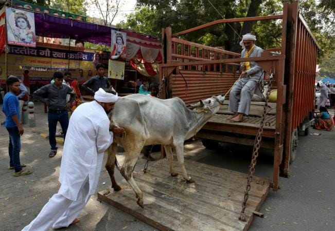 Lucknow: Former SP councilor attacked cattle catching squad, animals were being rescued, the matter is related