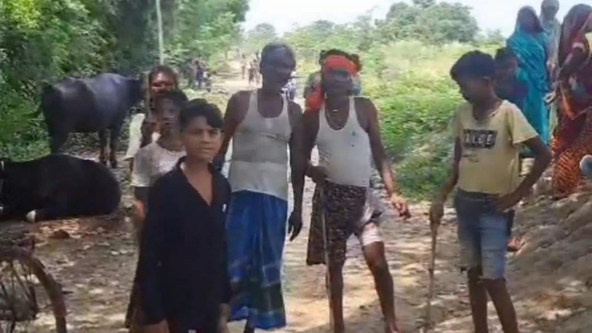 Muzaffarpur: Fear of golden jackal persists, has bitten 18 people so far; Forest department rescue operation