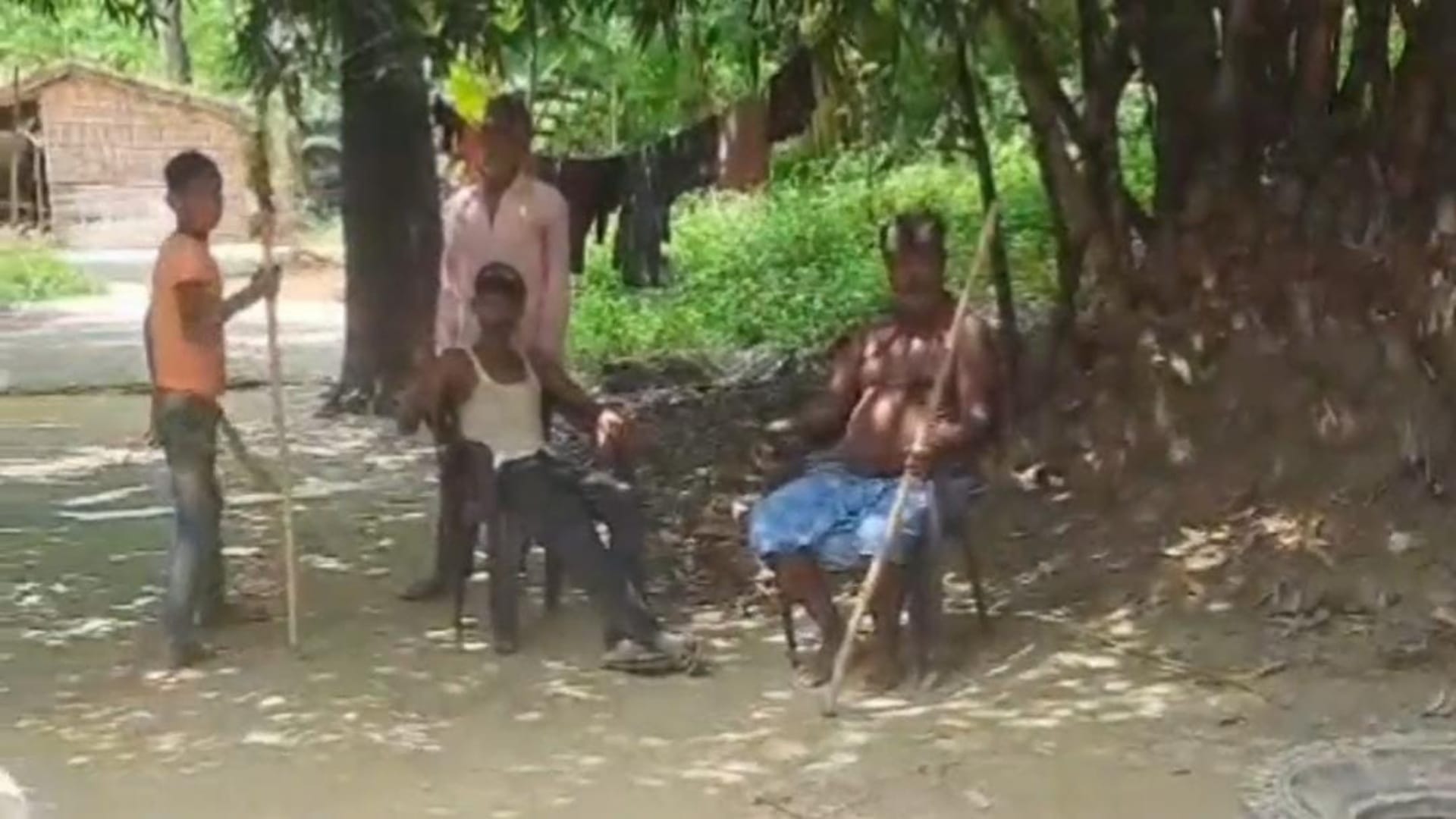 Muzaffarpur: Fear of golden jackal persists, has bitten 18 people so far; Forest department rescue operation