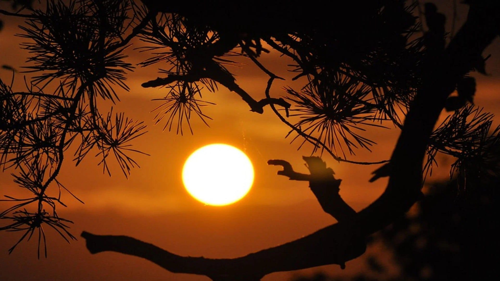 Morning Astro Tips know morning mantras for happiness