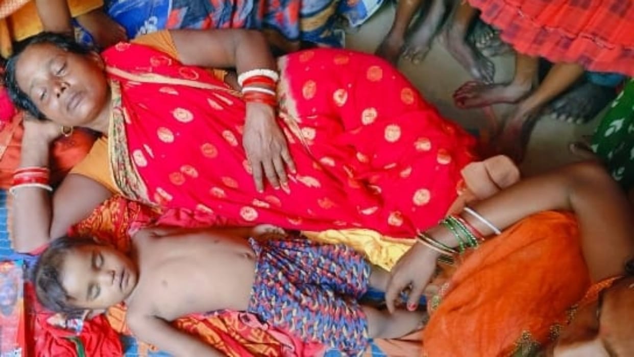 Bihar News: Four-year-old girl died in black bee attack in Purnea, mother and brother serious