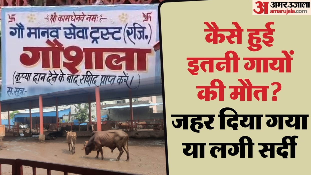More than 20 cows died under suspicious circumstances in a Gaushala in Ballabhgarh