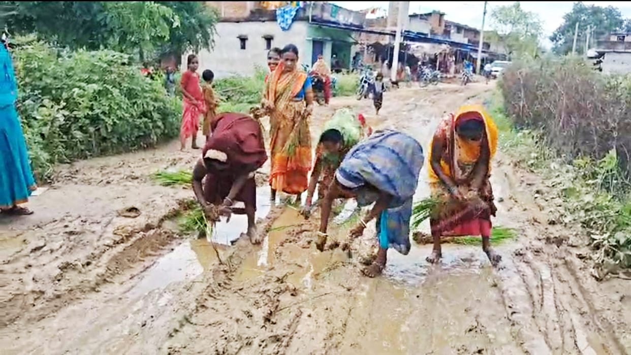 Gaya News: Villagers protested by planting paddy on unpaved road, anger over negligence of administration