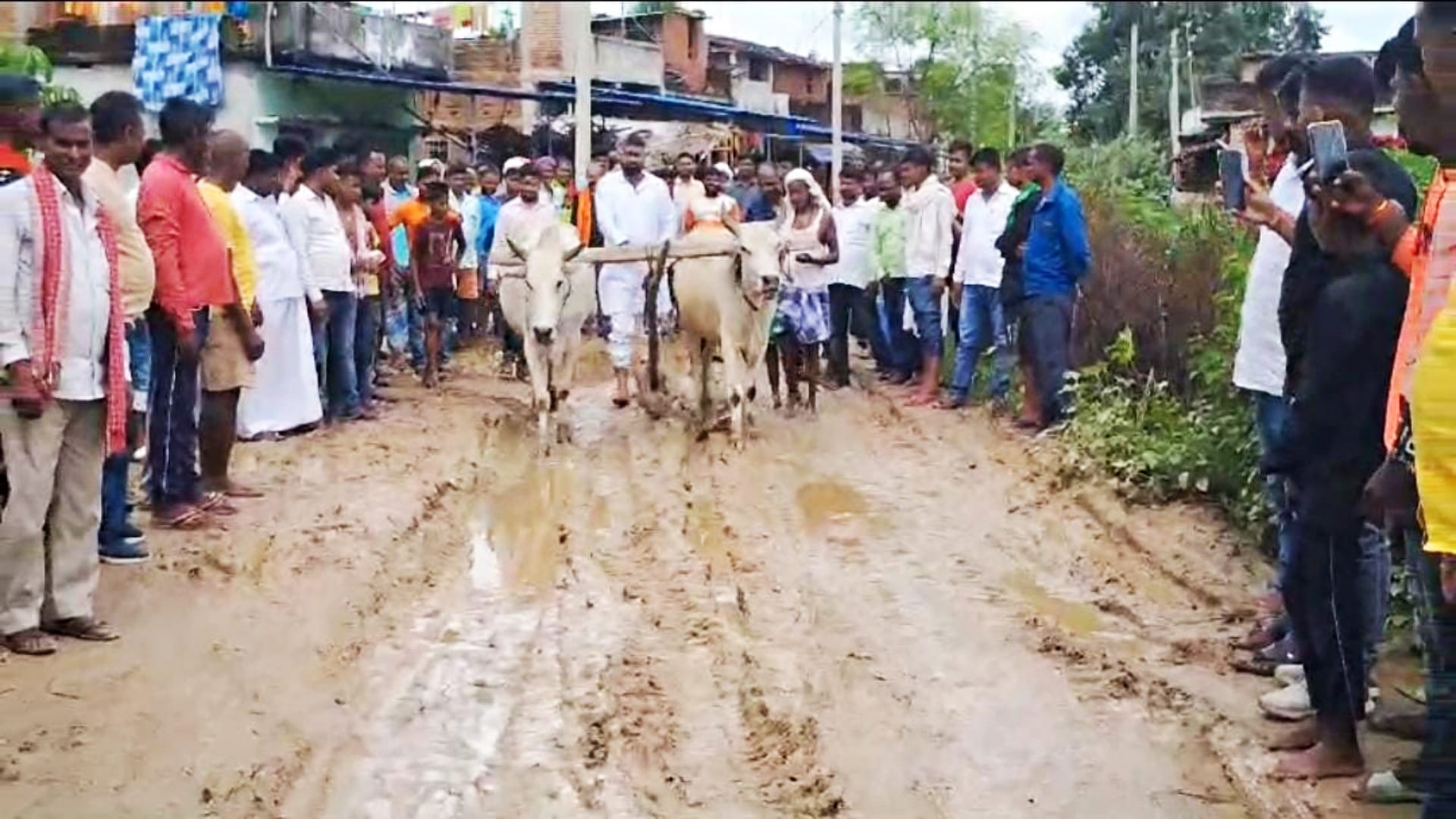 Gaya News: Villagers protested by planting paddy on unpaved road, anger over negligence of administration
