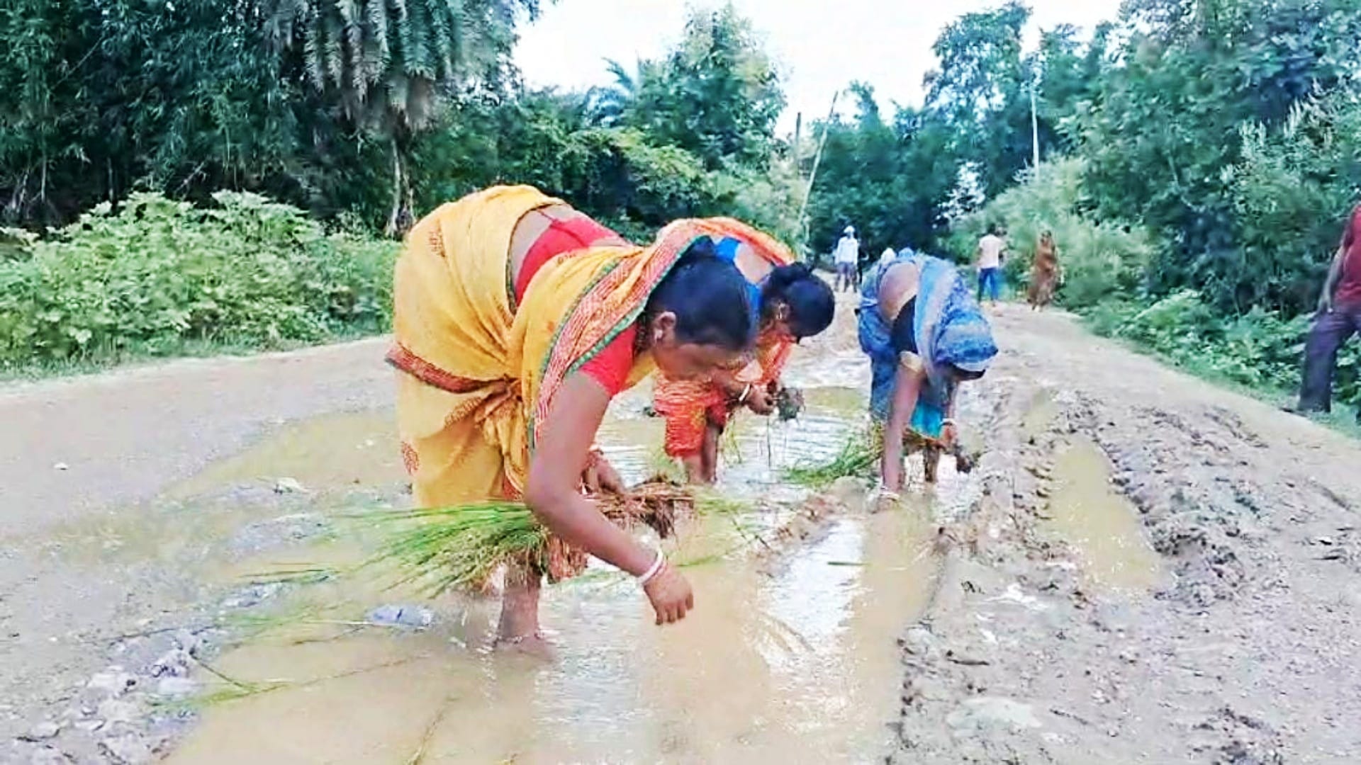 Gaya News: Villagers protested by planting paddy on unpaved road, anger over negligence of administration