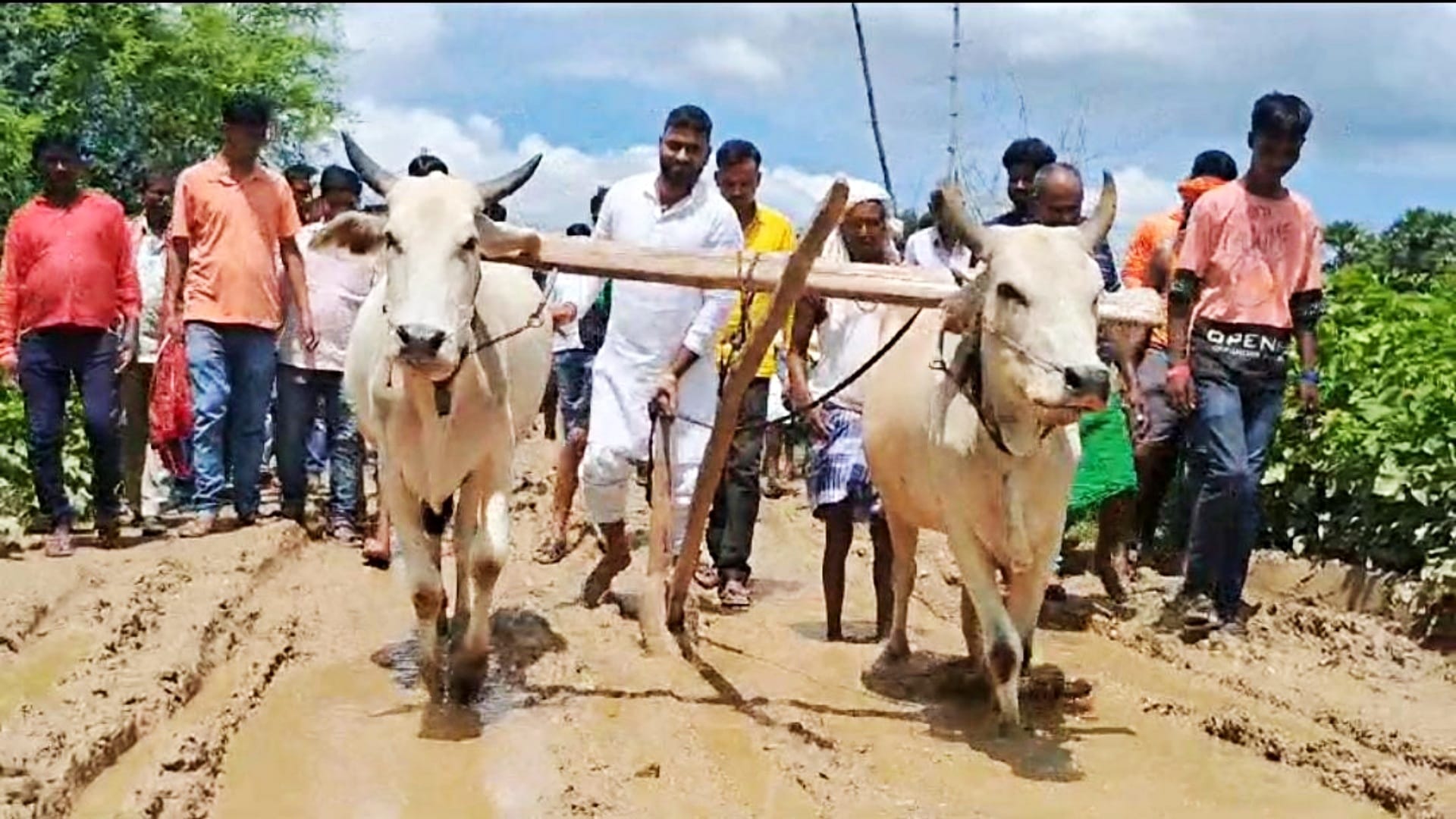Gaya News: Villagers protested by planting paddy on unpaved road, anger over negligence of administration