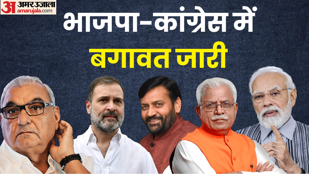 Haryana Assembly Election Ranjit Chautala Among Ten Rebels to Contest as Independents Check List