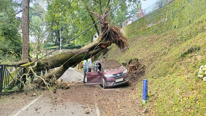 Himachal Weather: Monsoon is likely to remain weak for next seven days, know imd forecast