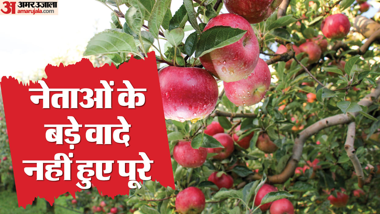 Jammu and Kashmir Assembly Election Major Market and No Grading Facility Main Issues News in Hindi