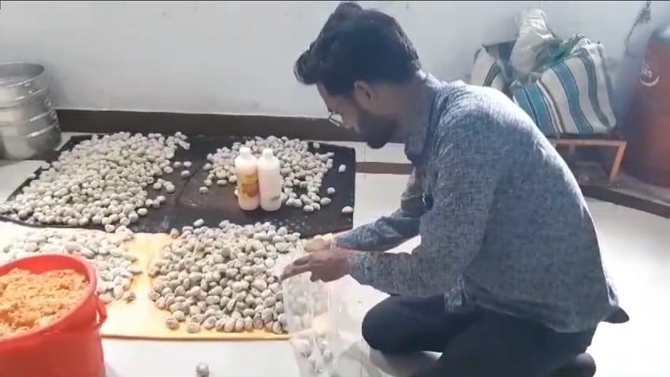मोमोज खाने से करीब आधा दर्जन लोग बीमार