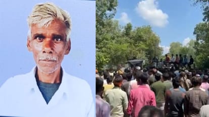 Villager killed by tiger in Pilibhit