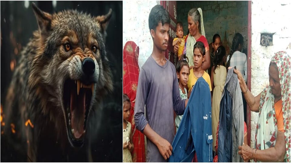 Wolf attack in mainpuri caught teenager seriously injured villagers in panic