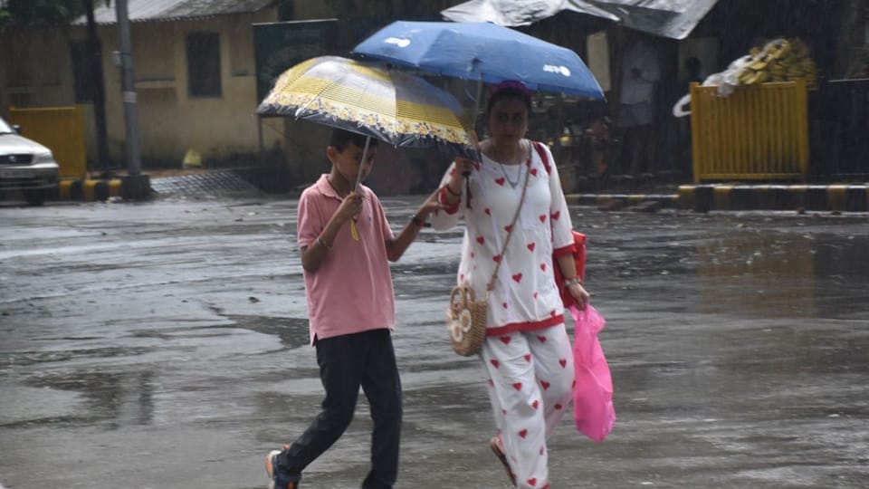 Lights out in Moradabad: People struggle in the heat...electricity workers blamed it on fault, see pictures