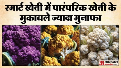 Lalitpur s young engineer farmer become inspiration for others by farming in modern way