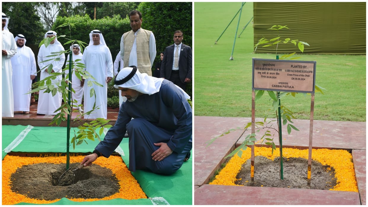 India UAE Relations Abu Dhabi Crown Prince plants sapling at Rajghat keeps tradition going news and updates
