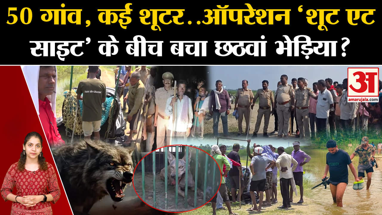Bahraich Wolf Caught:50 गांव, कई शूटर..ऑपरेशन ‘शूट एटसाइट’ के बीच बचा छठवां भेड़िया? | Amar Ujala |