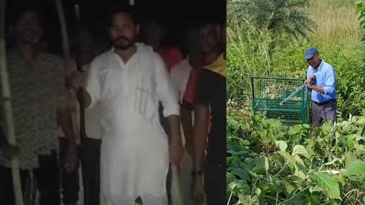 Bihar News : Villagers killed dangerous the jackal in Muzaffarpur Forest department team investigation