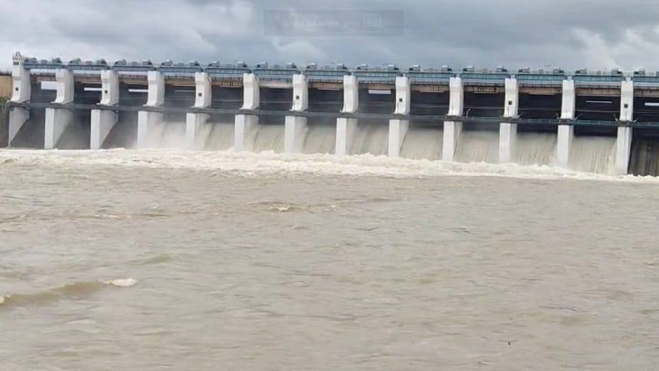 गंगरेल बांध के खोले गए नौ गेट