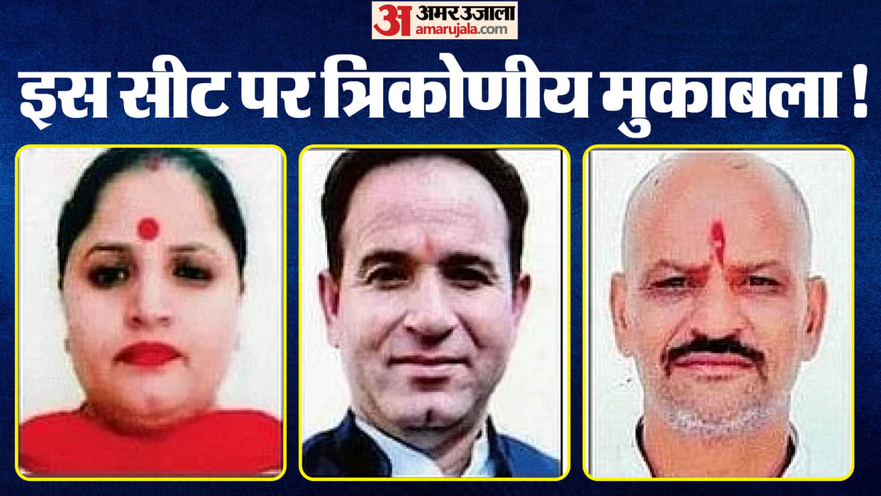 Jammu and Kashmir Election Newly Formed Seat Neelam Nagari NC Vs BJP News in Hindi