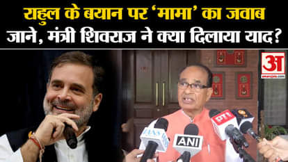 'Mama''s reply to Rahul's statement, know what Minister Shivraj reminded? , Amar Ujala