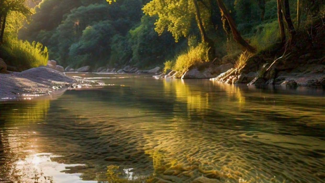 Water quality of many rivers in Himachal Pradesh has fallen below standards