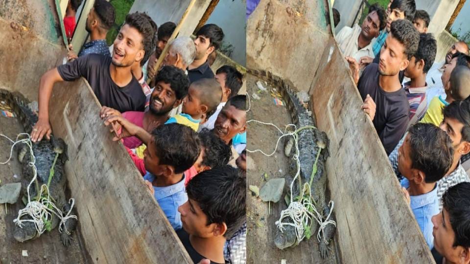 crocodile reached densely populated area in Kasganj and its movement caused stampede