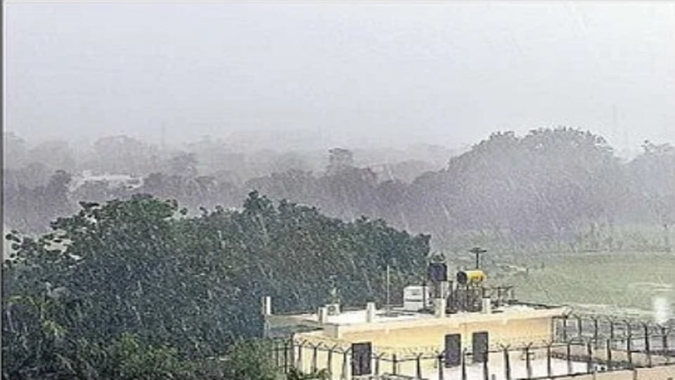 Delhi: construction is being done in Delhi Ridge ignoring the rules.