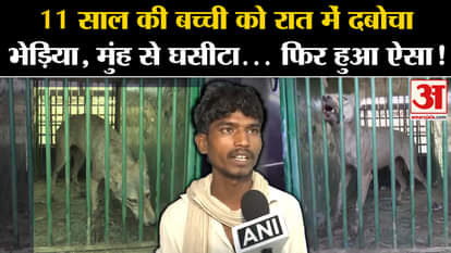 Bahraich Bhediya News: 11 year old girl caught by wolf at night