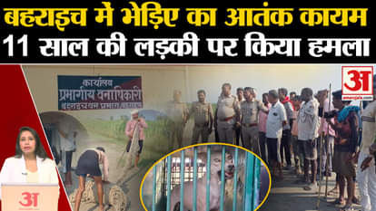 Bahraich Wolf Attack: Wolf attacked 11 year old girl, forest department search continues to catch her.