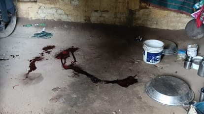 UP News: In a dispute over two bighas of land, younger brother was cut with a weapon, mother also attacked