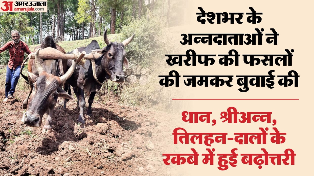 Common man may get relief fro Price Rise in October November Pulses Rice Rates may fall news and updates