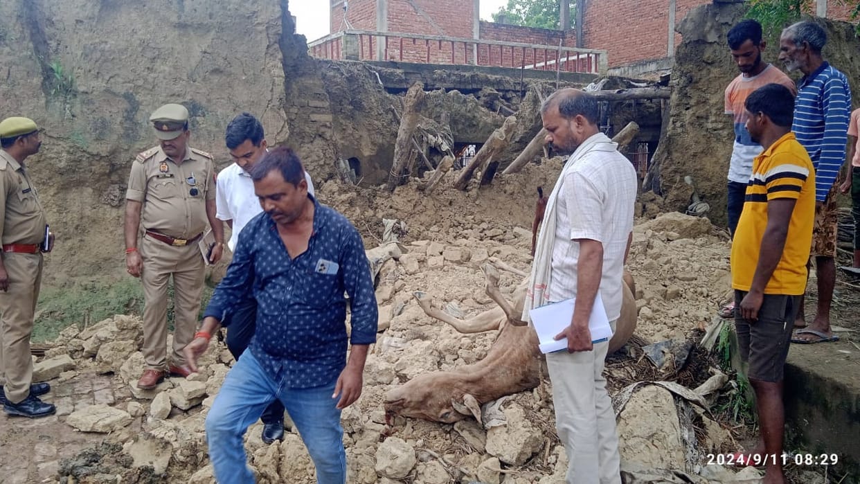 Grandfather and grandson died after being buried under falling wall, accident happened while releasing cattle