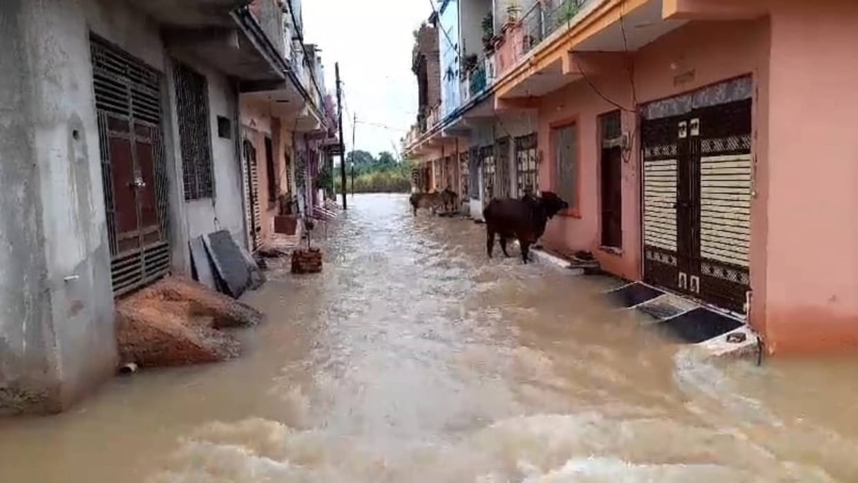 Shivpuri Due to heavy rains many colonies including Namo Nagar became mini ponds