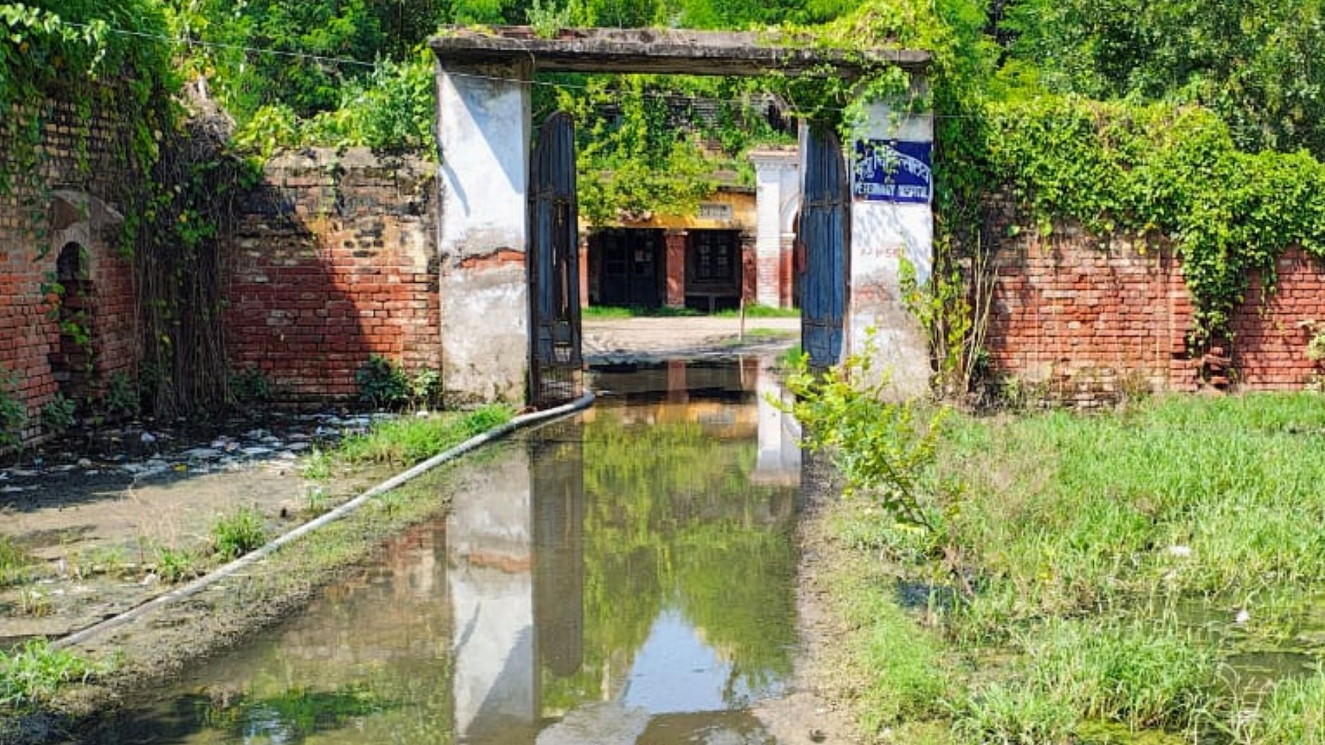 veterinary hospital of Ramnagar is sick Rain and sewer water filling causes problems