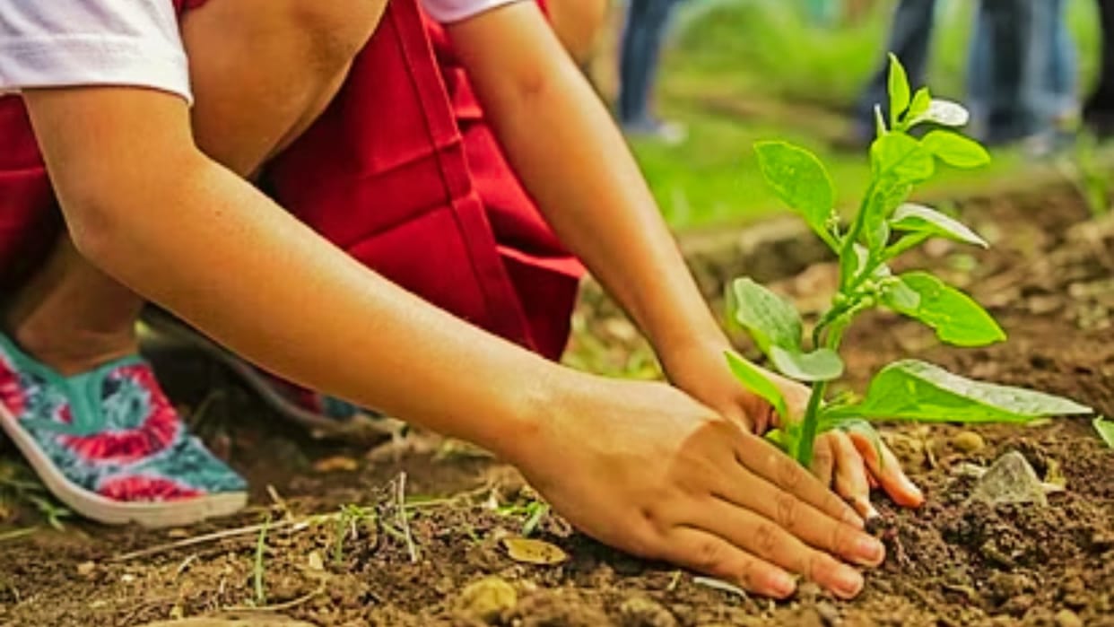 Seven thousand plants will be adopted by public in varanasi