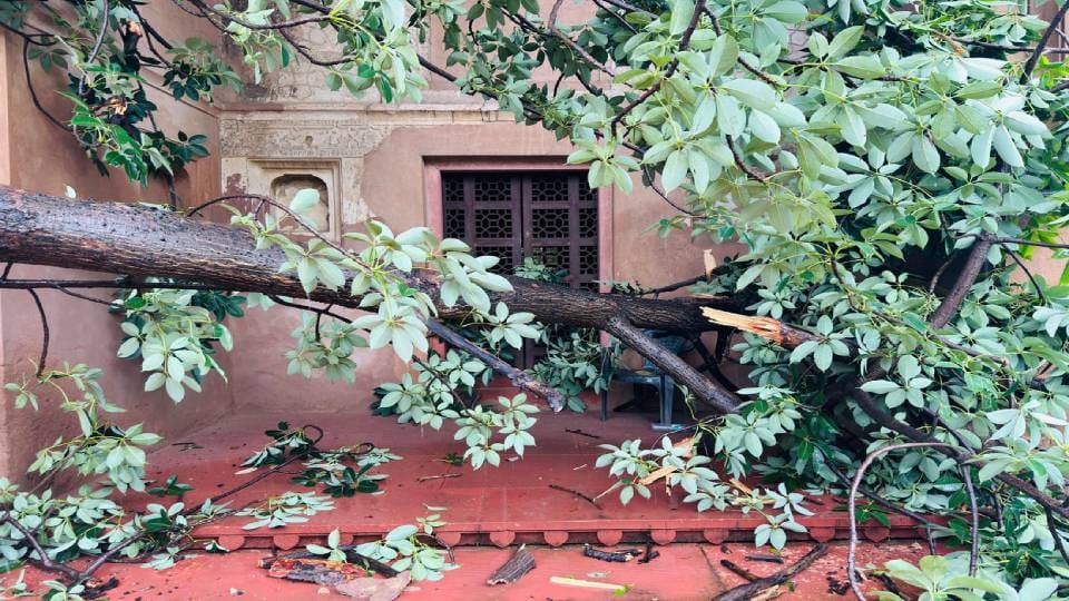 Leakage seen in dome of Taj Mahal dampness in fort condition of monuments also deteriorated in rain